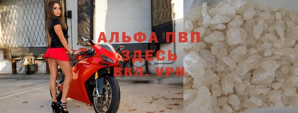 молекула духа Алексин