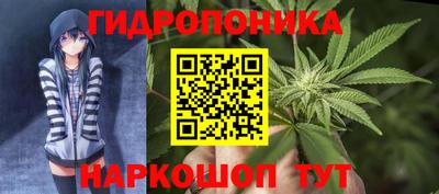 индика Кумертау