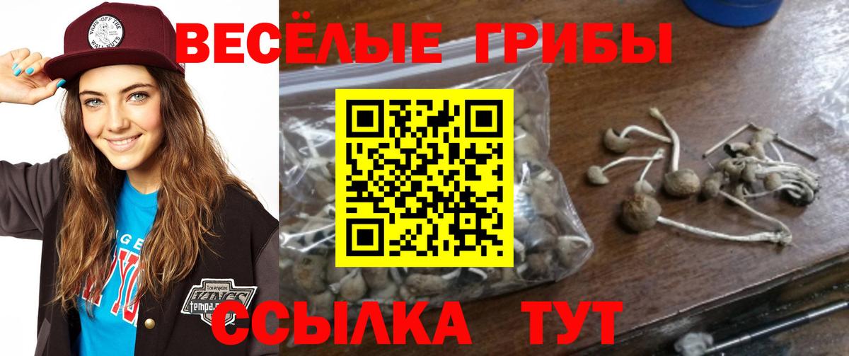 где купить наркоту  Галлюциногенные грибы прущие грибы  Вход с VPN  Югорск  Галлюциногенные грибы мухоморы 