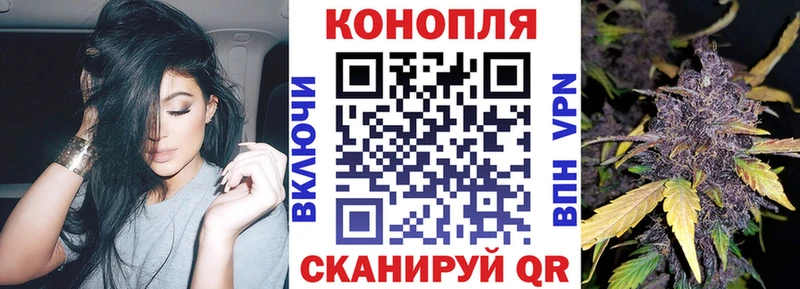где можно купить   Югорск  Шишки марихуана планчик 
